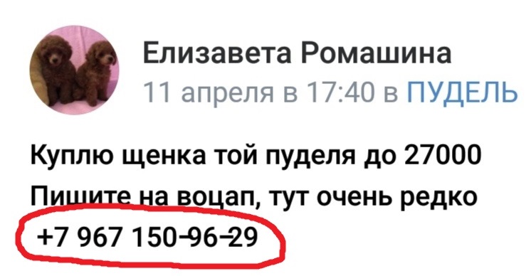 Find Face обман, мошенничество.