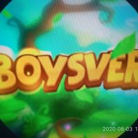 BoySVeR-