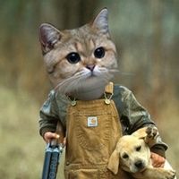 Костя Котов