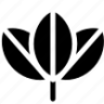 КОКОС QOQOS