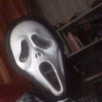 falcon_arg