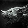Константин_8