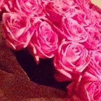 lisina.margo