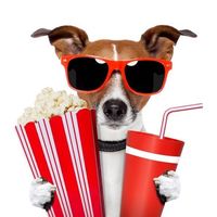 novinkikino