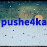 pushe4ka