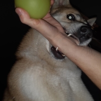Артём Костюковский