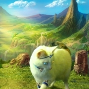 Руслан Раджабов_2