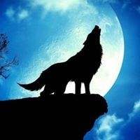 Max.Phm