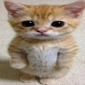 Artjom_2