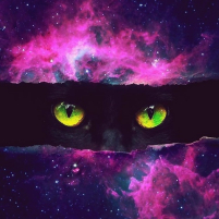 Artem Sspace