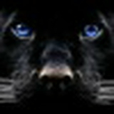 Антоха Манахов