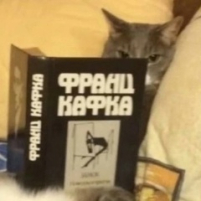 Александр Романов_10