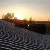 Алексей Линник