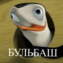 Руслан Курбанов_2