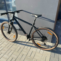 Денис Сургут