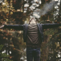 Forest Introvert