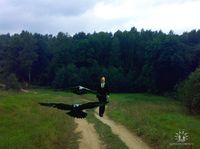 grom12