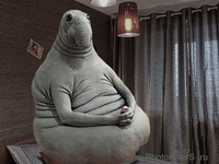 Boo_777